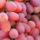 Bravante Grape Varieties