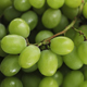 GreatGreenSeedless_thumb